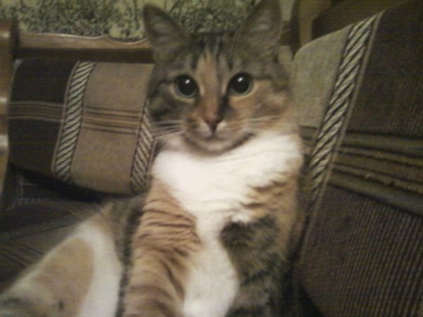 Татьяна Воробьева