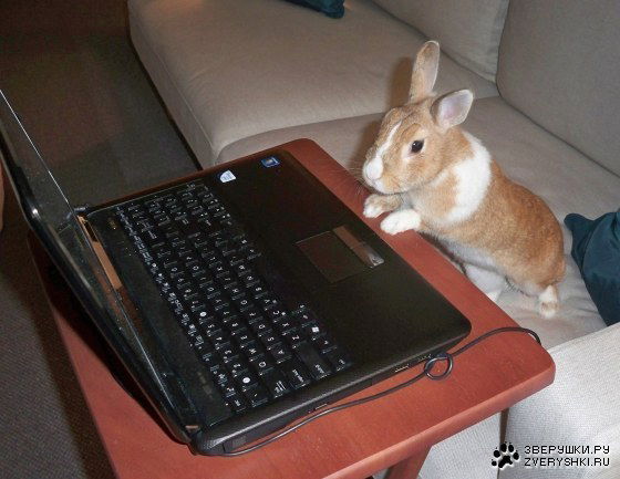 Сергей Кухарь