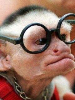 Игорь Головкин