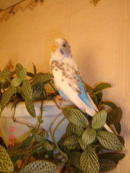 Ольга Михайлова