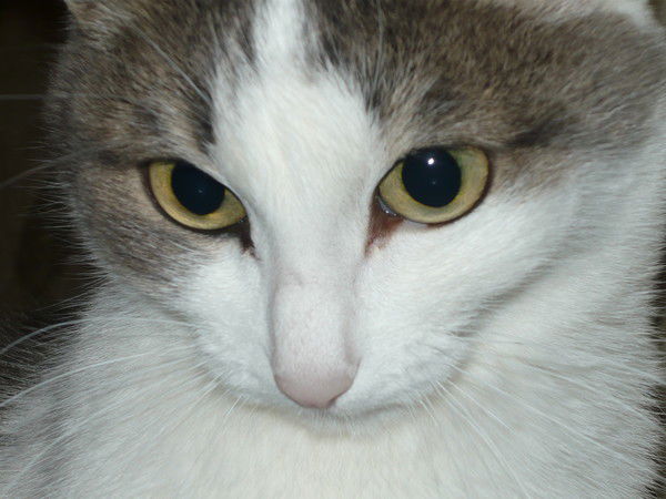 Ольга Жулина