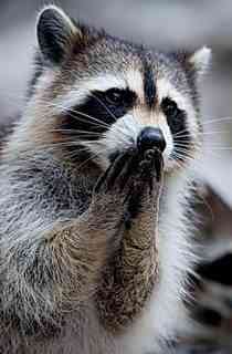 Сергей Алексеев