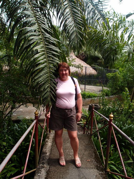 Елена Стоянова