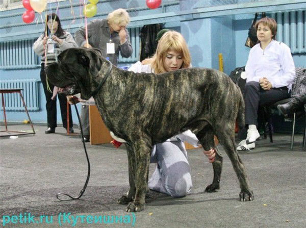 Меирман Суюбаев