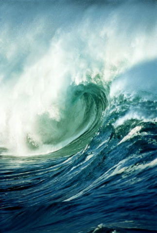 Наташа Ткаченко