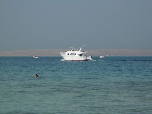 Евгений Полушин