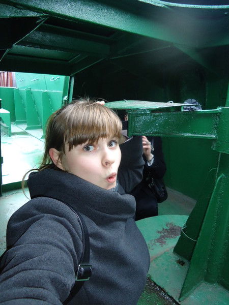 Елена Гомонова