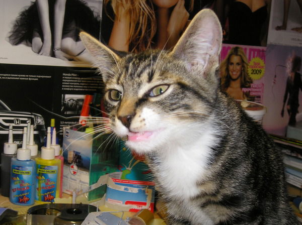 Надежда Васюнцова