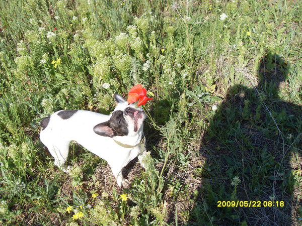 Вячеслав Куранов