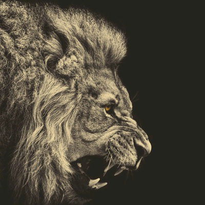 Игорь Чупчиков