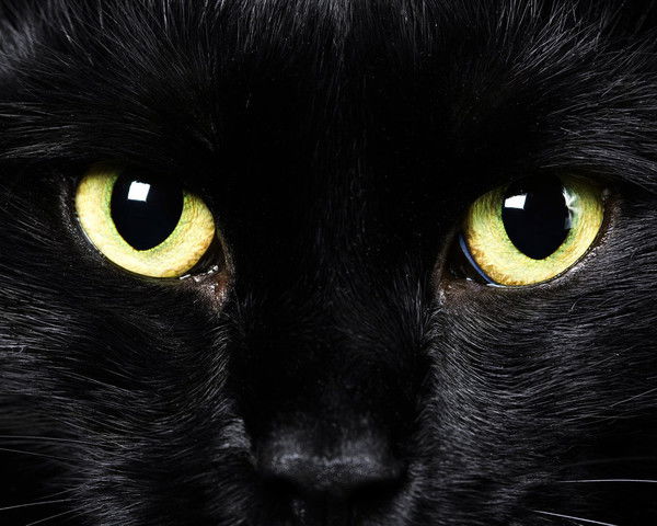 Светлана Круглова