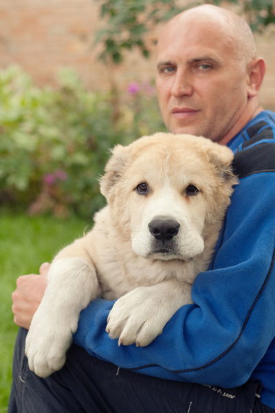 Владимир Лебедев