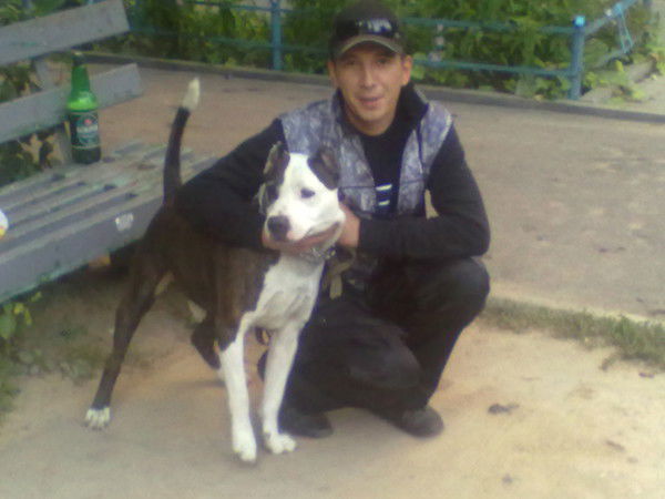 Сергей Володькин