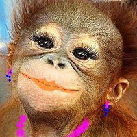 Нинель Демина