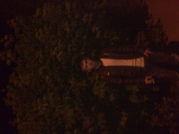 Дмитрийв Моисеиче