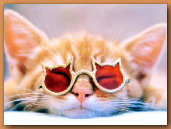 Захар Гриша