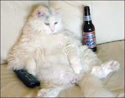 Сергей Ложкин