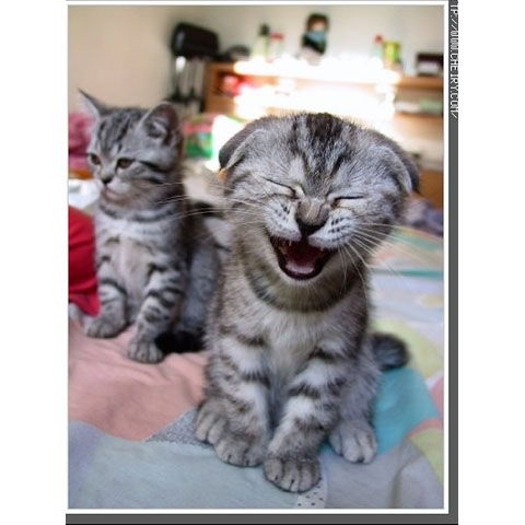 Олег Лабуздин