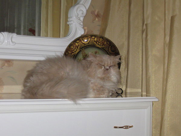 Нина Фролова