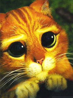 Денис Морозов