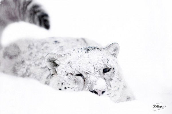 Лязат Серимбетова