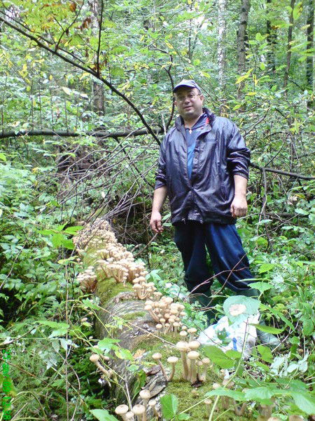 Виталик Сазонов