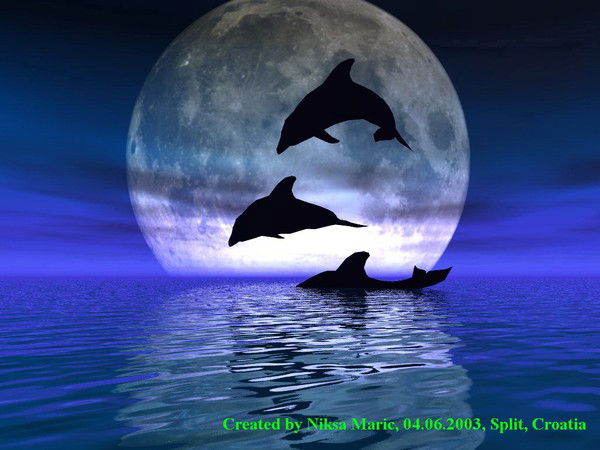 Александр Никитин