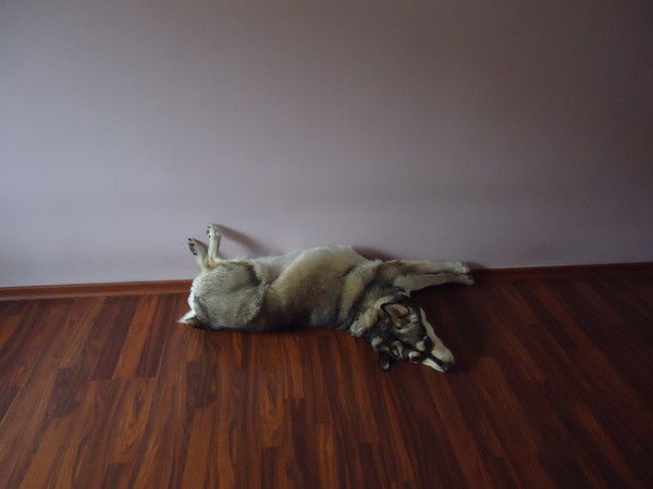 Сергей Степанов