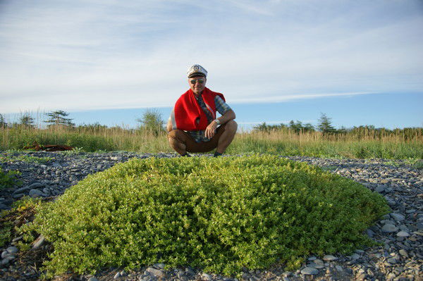 Евгений Подгорный
