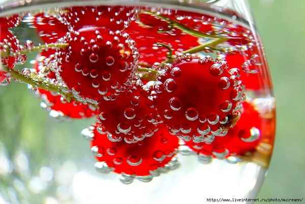 Андрей Орлов