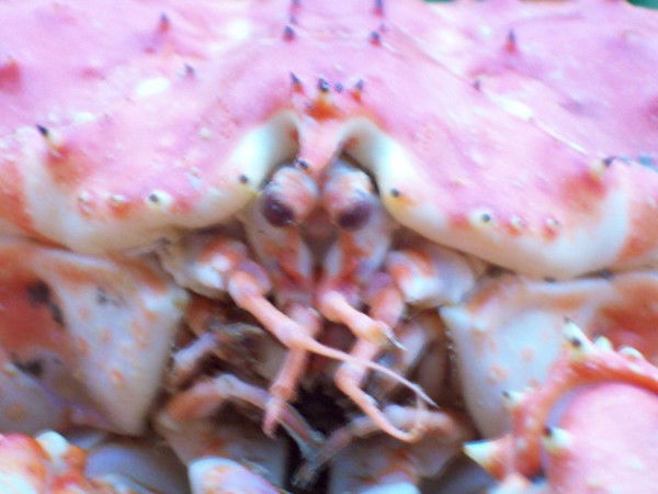 Александр А