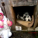 Ольга Юрьевна