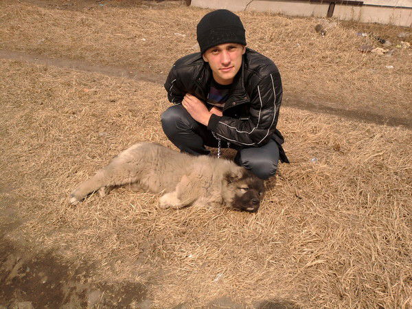 Вадим Акимов