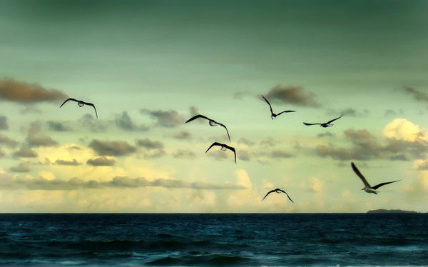 Денис Панков