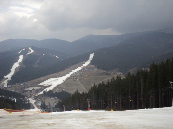 Лариса Aксентий