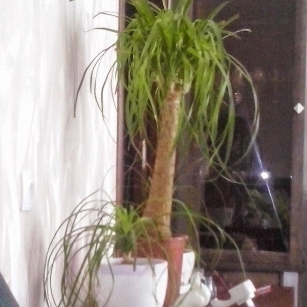 Ольга Дудко