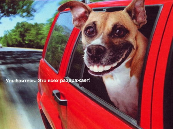 Константин Желобанов