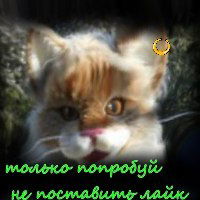 Максим Харин