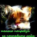 Максим Харин