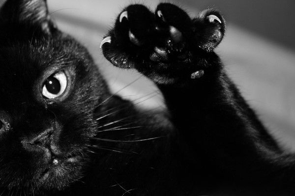 Наталия Вячеславовна