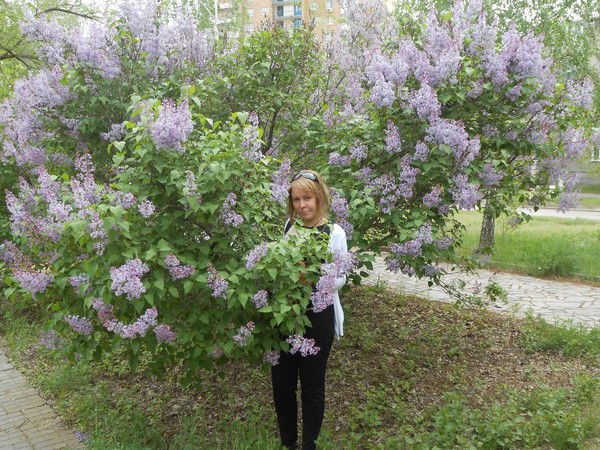 Екатерина Грошева