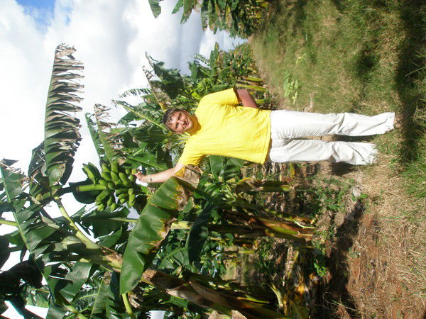 Алексей Орлов