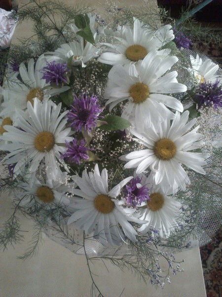 Светлана Т-Ва