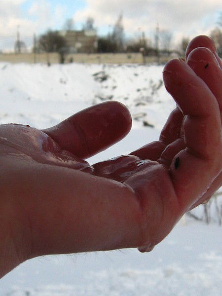 Павел Соборский