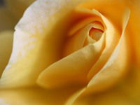 Самал Танабаева