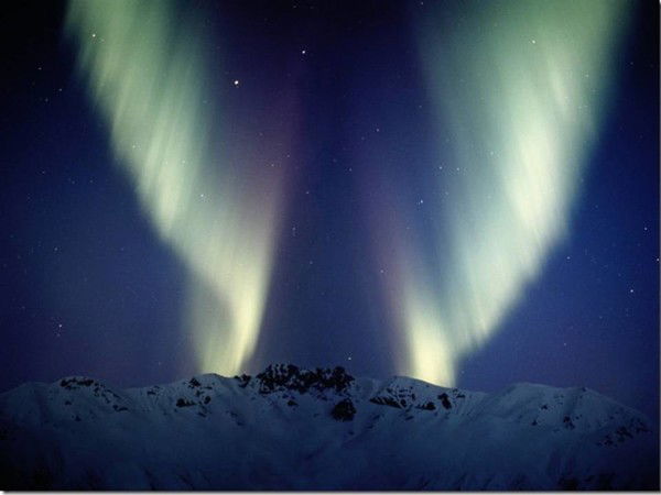 Татьяна Кошелева