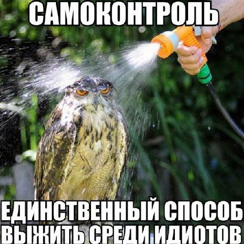 Дил Фатҳлло