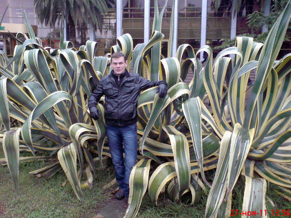 Евгений Грищенко