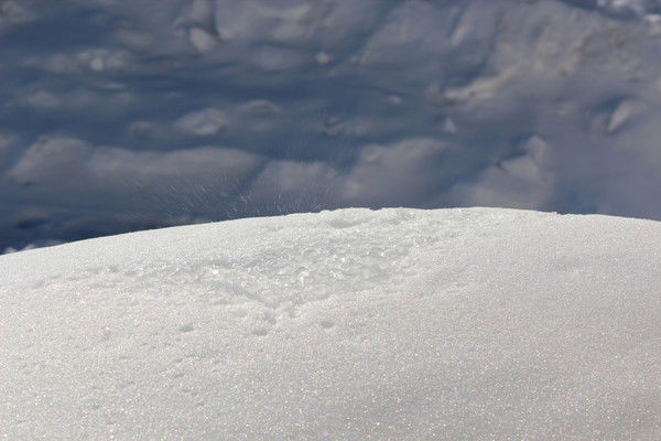 Аня Завьялова