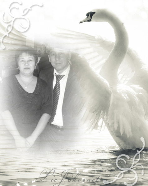 Жанар Сембаева